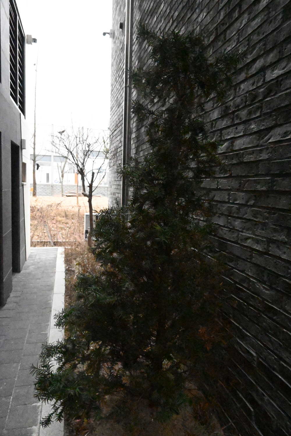 /user/s/sedamarchi/editor/2301/4d9787f23a8af3243a4118c065c44a31_1672721835_8885.JPG 이미지크게보기