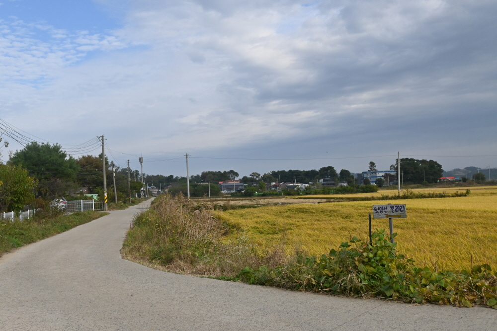 /user/s/sedamarchi/editor/2301/4d9787f23a8af3243a4118c065c44a31_1672722178_5537.JPG 이미지크게보기