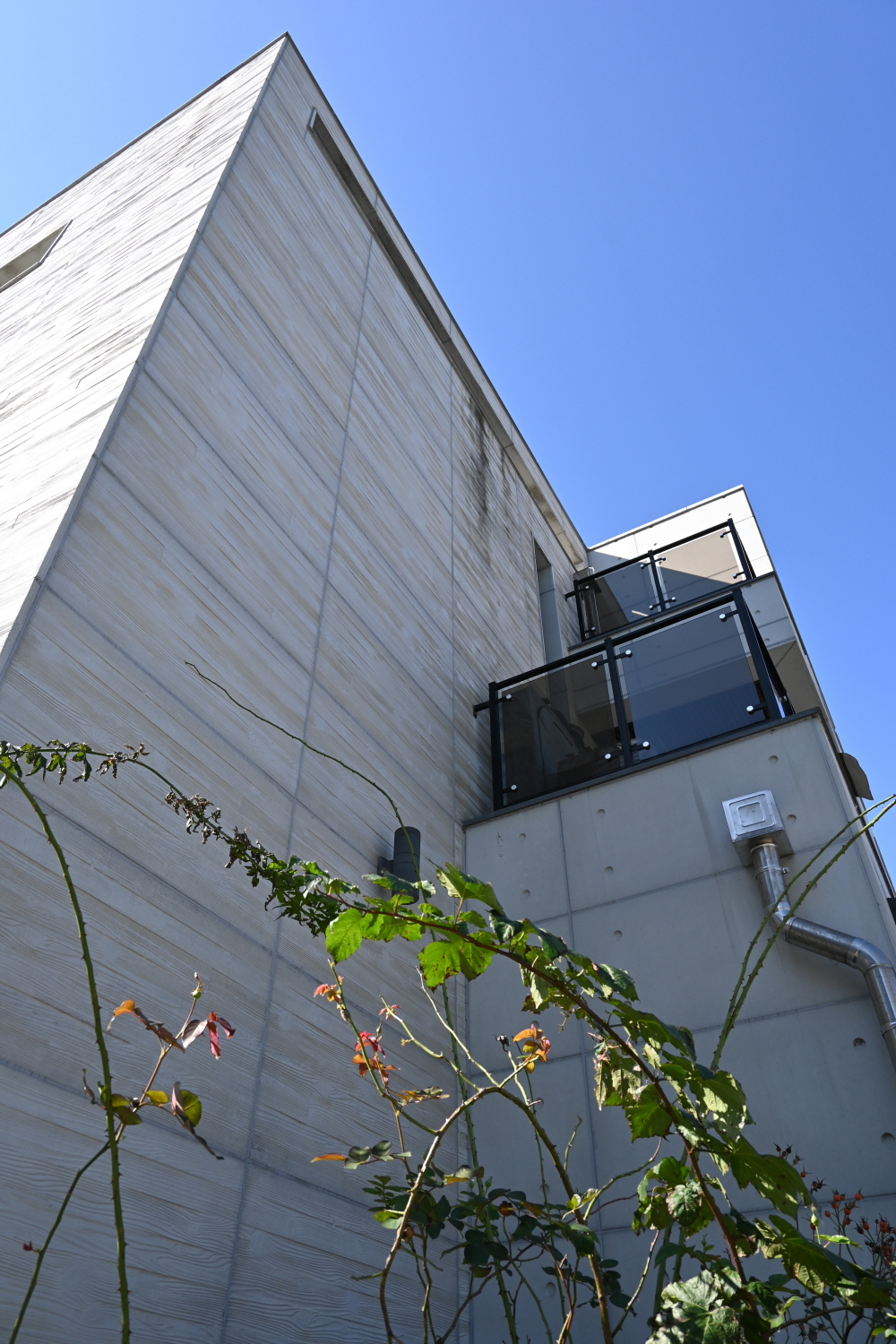 /user/s/sedamarchi/editor/2301/4d9787f23a8af3243a4118c065c44a31_1672724236_0636.JPG 이미지크게보기