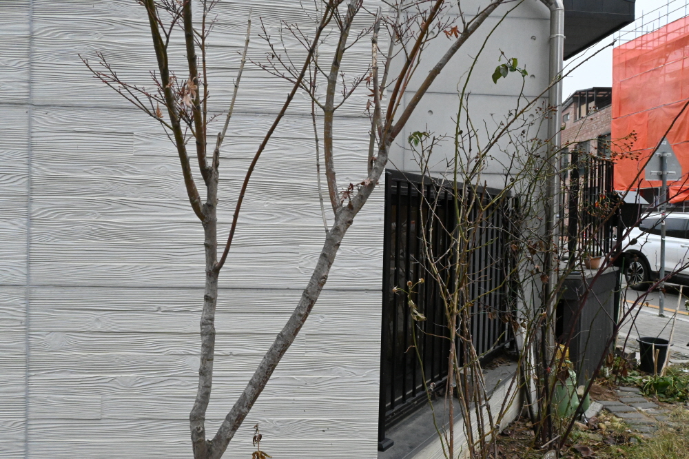 /user/s/sedamarchi/editor/2301/4d9787f23a8af3243a4118c065c44a31_1672724241_4263.JPG 이미지크게보기