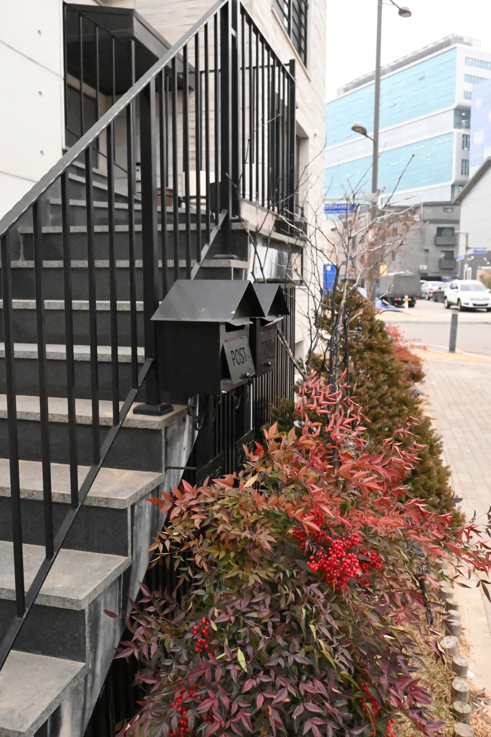 /user/s/sedamarchi/editor/2301/4d9787f23a8af3243a4118c065c44a31_1672724250_1646.JPG 이미지크게보기