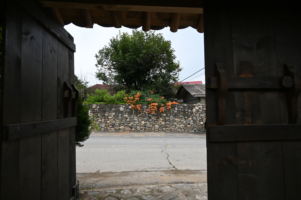 /user/s/sedamarchi/editor/2301/4d9787f23a8af3243a4118c065c44a31_1672748196_8822.JPG 이미지크게보기