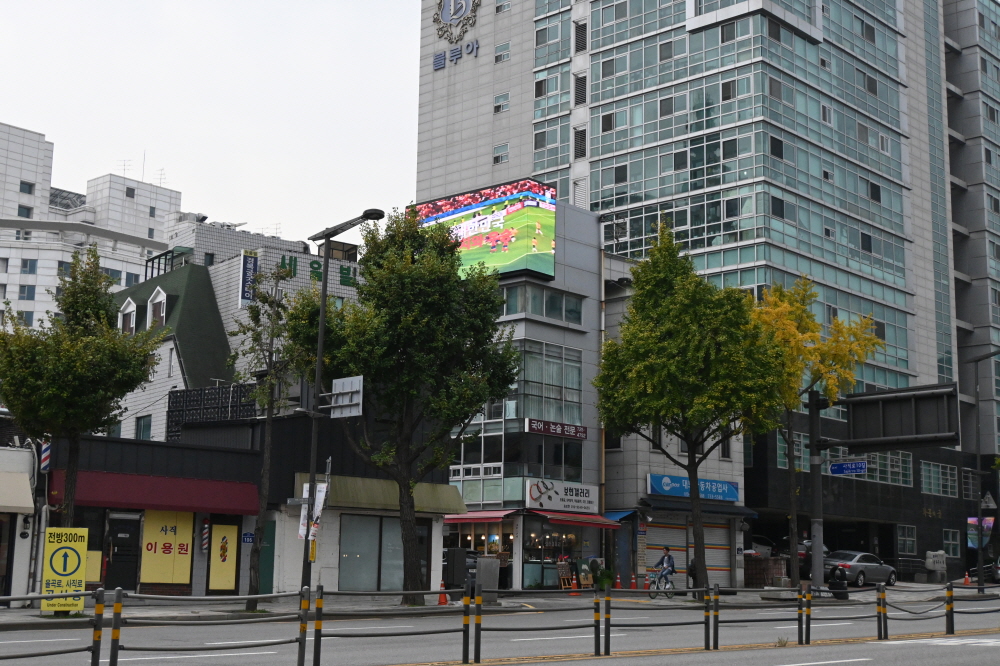 /user/s/sedamarchi/editor/2301/4d9787f23a8af3243a4118c065c44a31_1672748981_9494.JPG 이미지크게보기