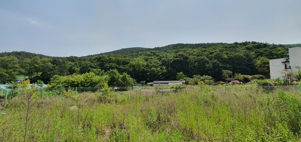 /user/s/sedamarchi/editor/2301/4d9787f23a8af3243a4118c065c44a31_1672761871_3864.jpg 이미지크게보기